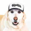 Punta Gorda Trucker Hat for Dogs