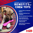 SP Bone Ultra Durable Nylon Dog Chew Toy