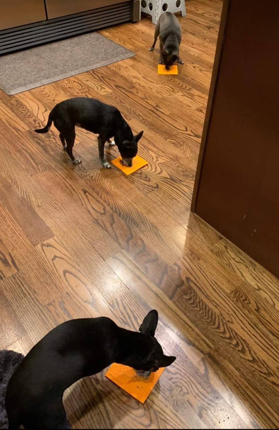 Square Silicone Lick Pad for Dogs
