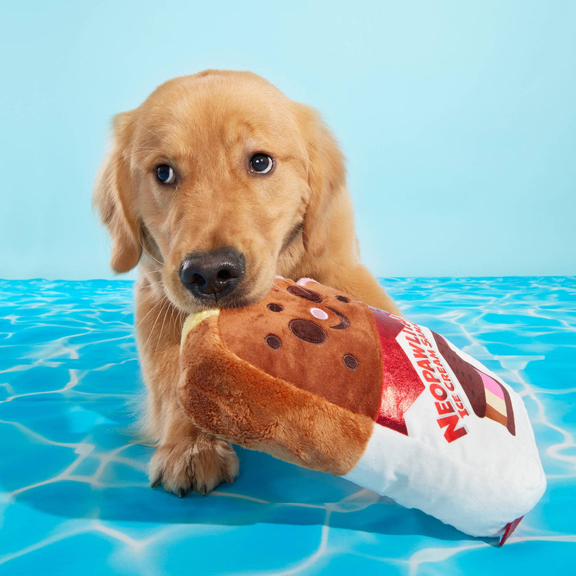 BARK Grand Slam Ice Cream Sam Plush Dog Toy