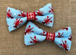 MINI SIZE Lobsters