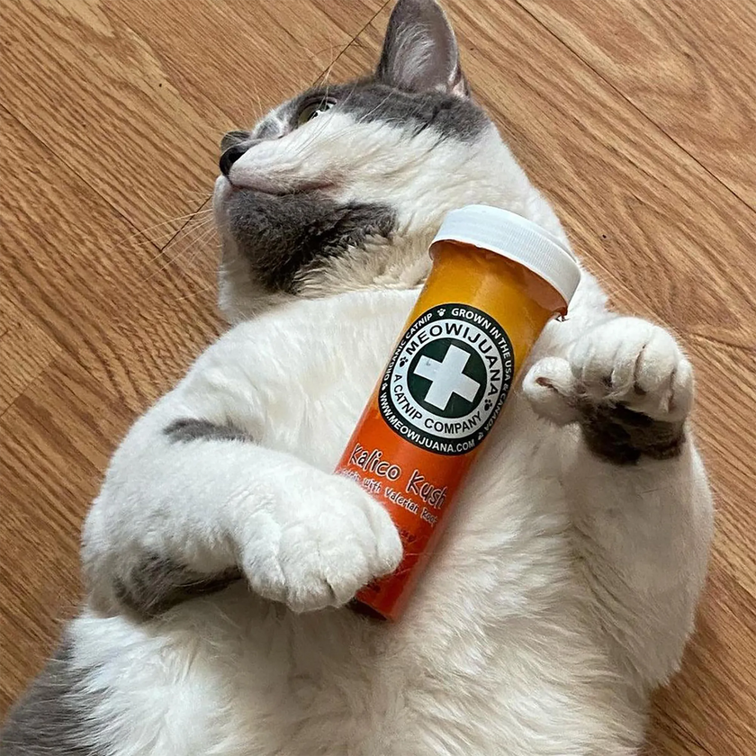Meowijuana® Kalico Kush - Valerian Root and Catnip Blend