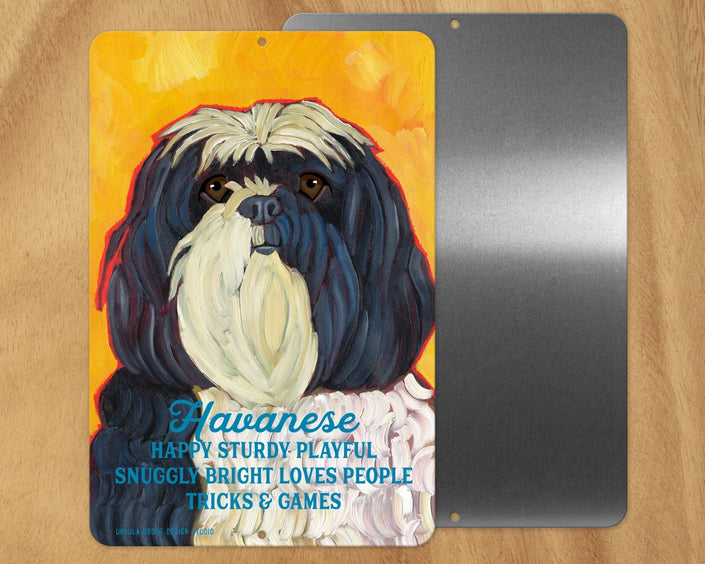 Havanese -UD Metal Sign