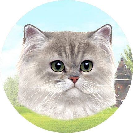 Persian Cat Car Coaster