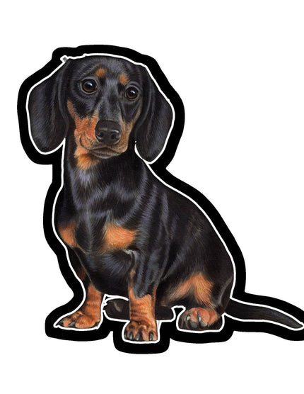 Dachshund, Black Tan  - Vinyl Sticker