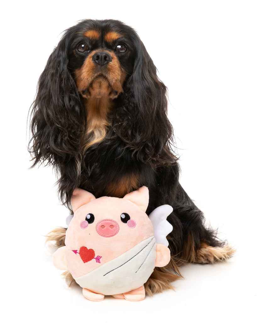 FuzzYard Dog Toy - CU-Pig Dog Toy