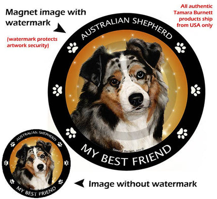 Australian Shepherd Blue Circular My Best Friend Magnet