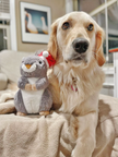 Christmas Squirrel Plush Furry Tail Large Dog Toy