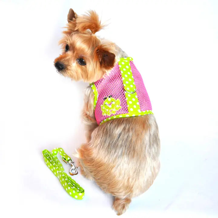 Cool Mesh Dog Harness & Lead - Frog Polka Dot