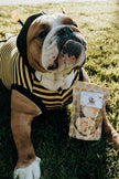 Dog Treat Cookies Honey Bee Bites Gift Bag