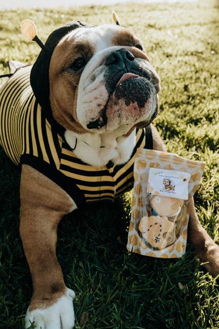Dog Treat Cookies Honey Bee Bites Gift Bag
