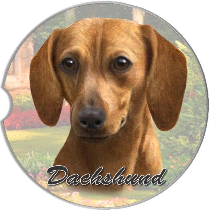 Dachshund, Red Car Coaster: SITTING