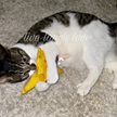 Meowijuana® Get Cheezy Cheese & Mouse Refillable Cat Toy