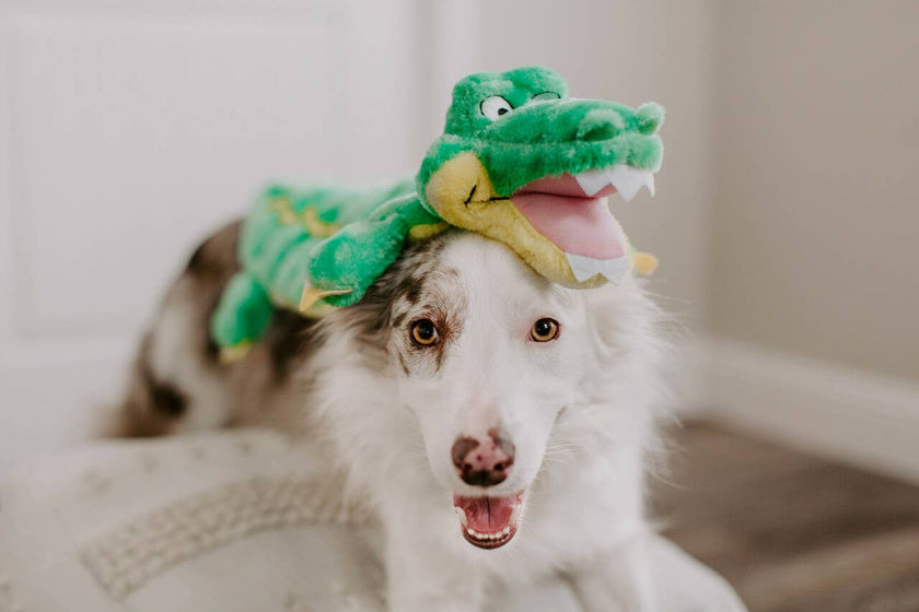 Outward Hound Squeaker Matz Gator Green XXL