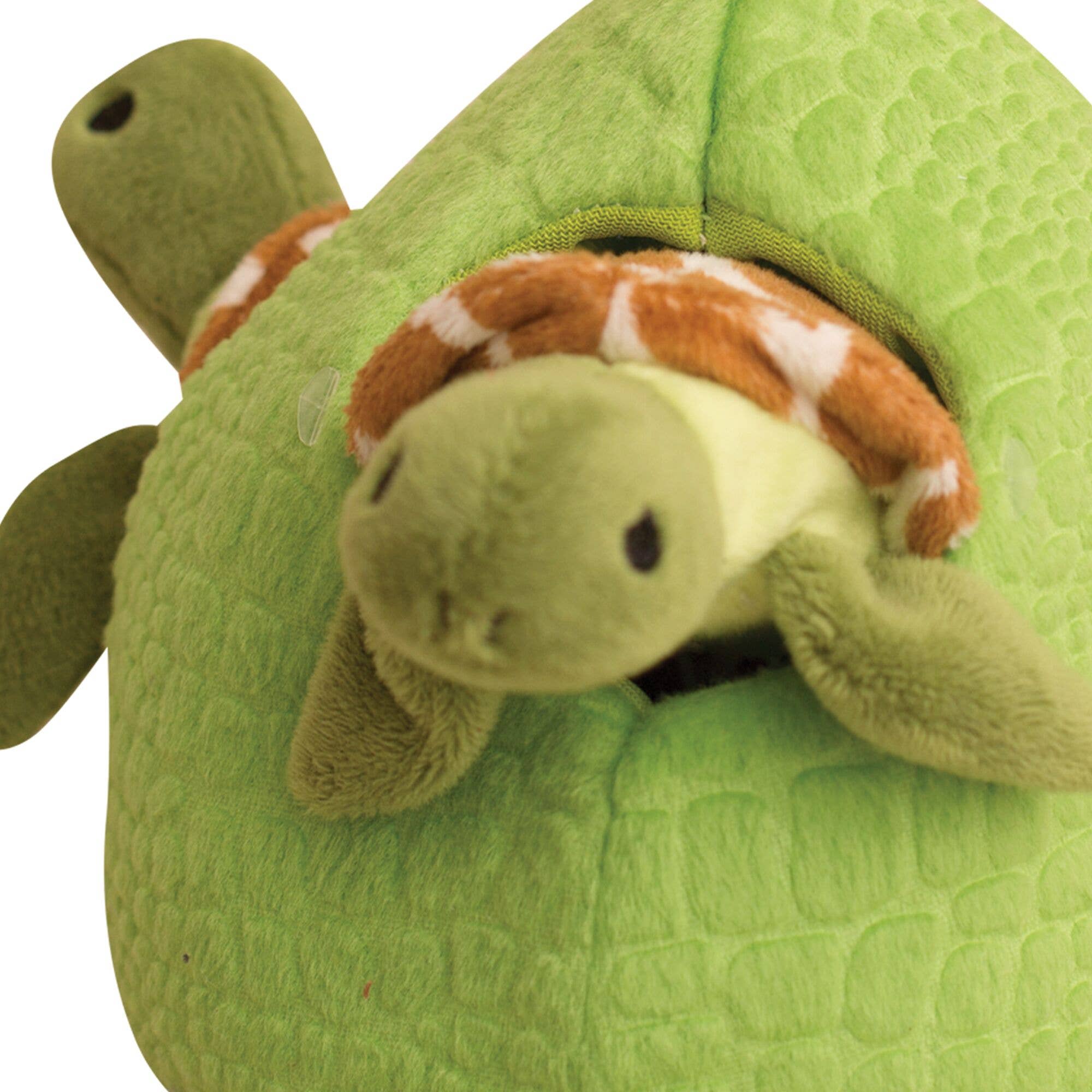 Hide and Seek Reef Dog Toy