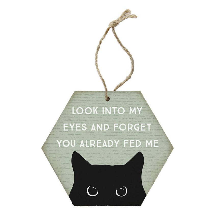 Look Into Eyes Cat - Honeycomb Ornamnets