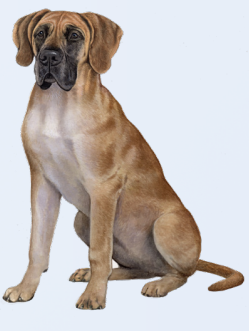 Great Dane  - Vinyl Stickers