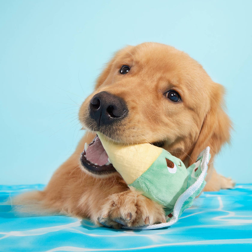 BARK Melty Minty Monty Plush Dog Toy