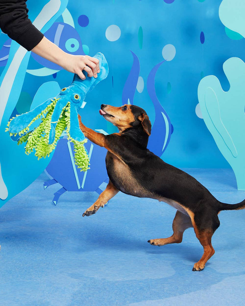 BARK Shifty Sid the Squid Dog Toy