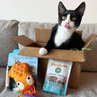 Meowijuana® Jump 'n' Jamb Deep Sea Squid Interactive Cat Toy