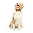 H&K Shiny Christmas Plaid Bow Tie