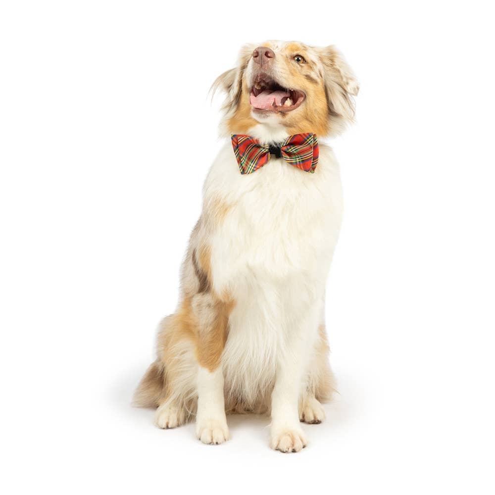 H&K Shiny Christmas Plaid Bow Tie