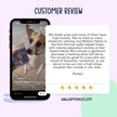 Mellow Fellow - Calming Supplement for Dogs - 120 Chew