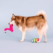 Dog Toy Flamingo 2pc Pool Days, Sun Rays Plush Set