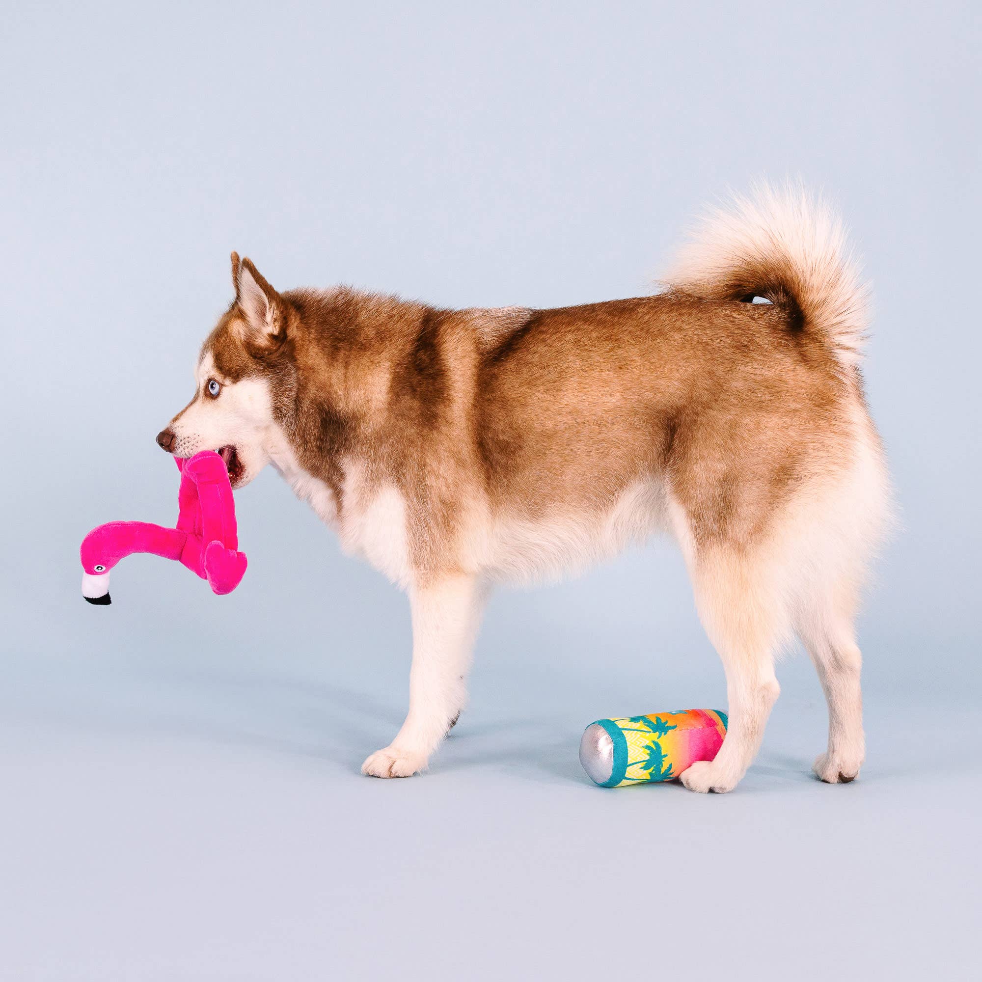 Dog Toy Flamingo 2pc Pool Days, Sun Rays Plush Set