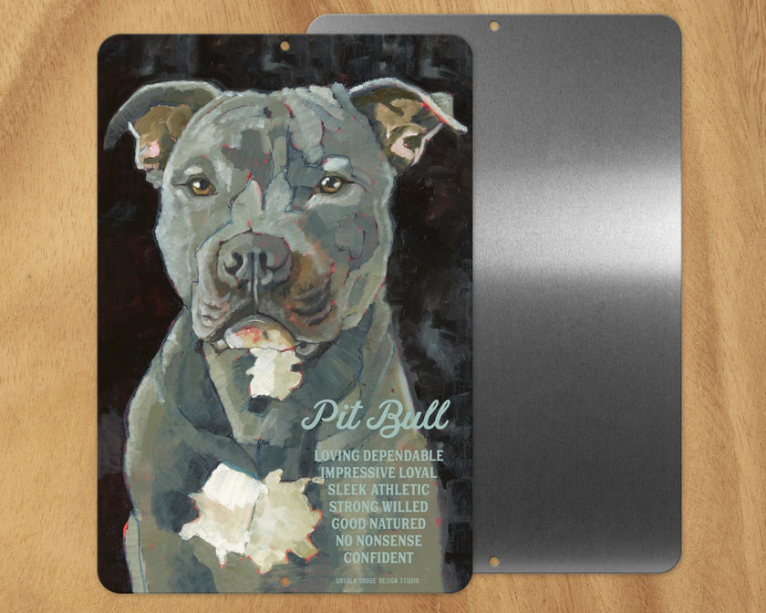 Pit Bull (Grey & White) -UD Metal Sign
