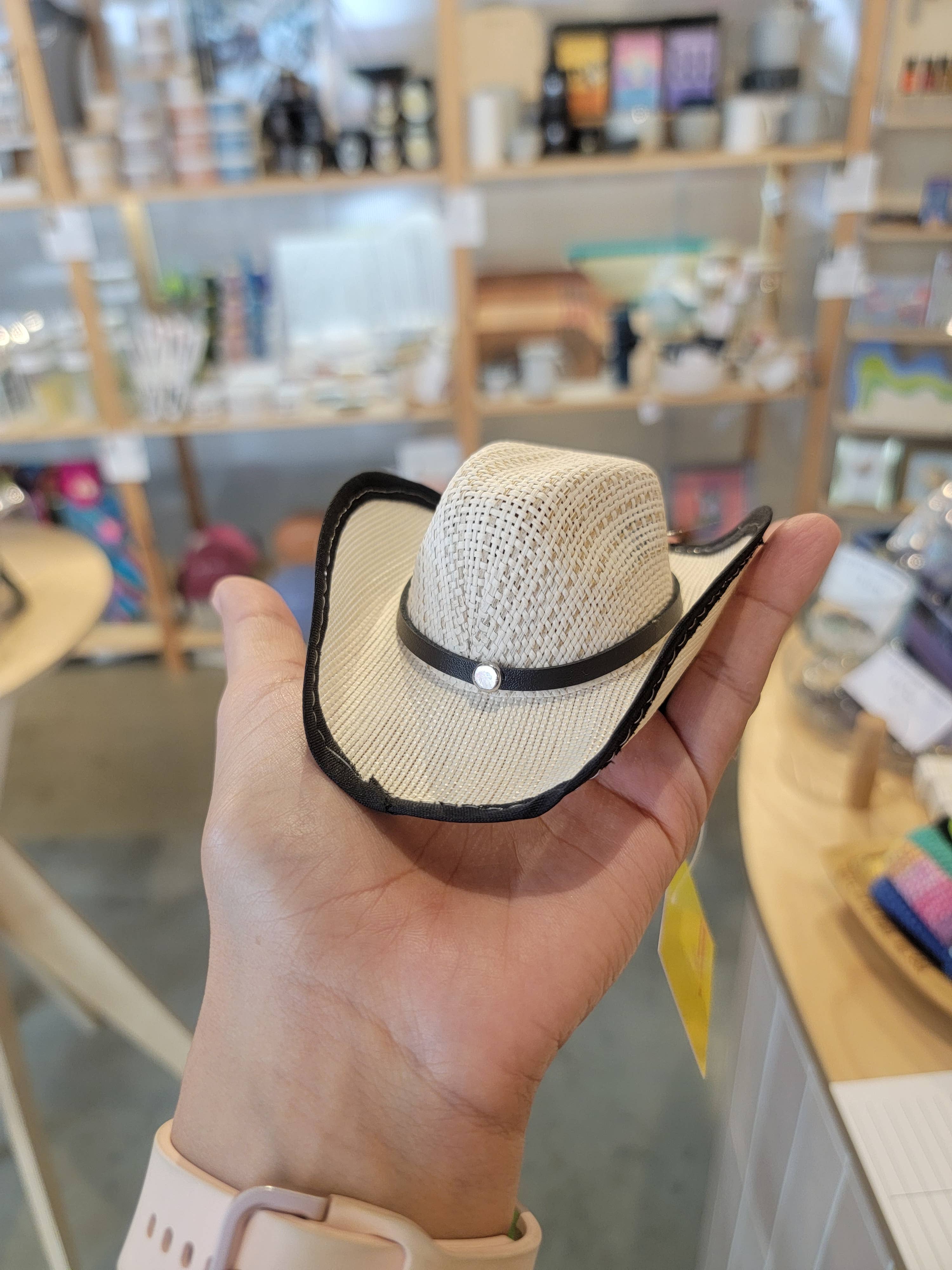 Hat for Cat or Dog Cowboy Pet Hat
