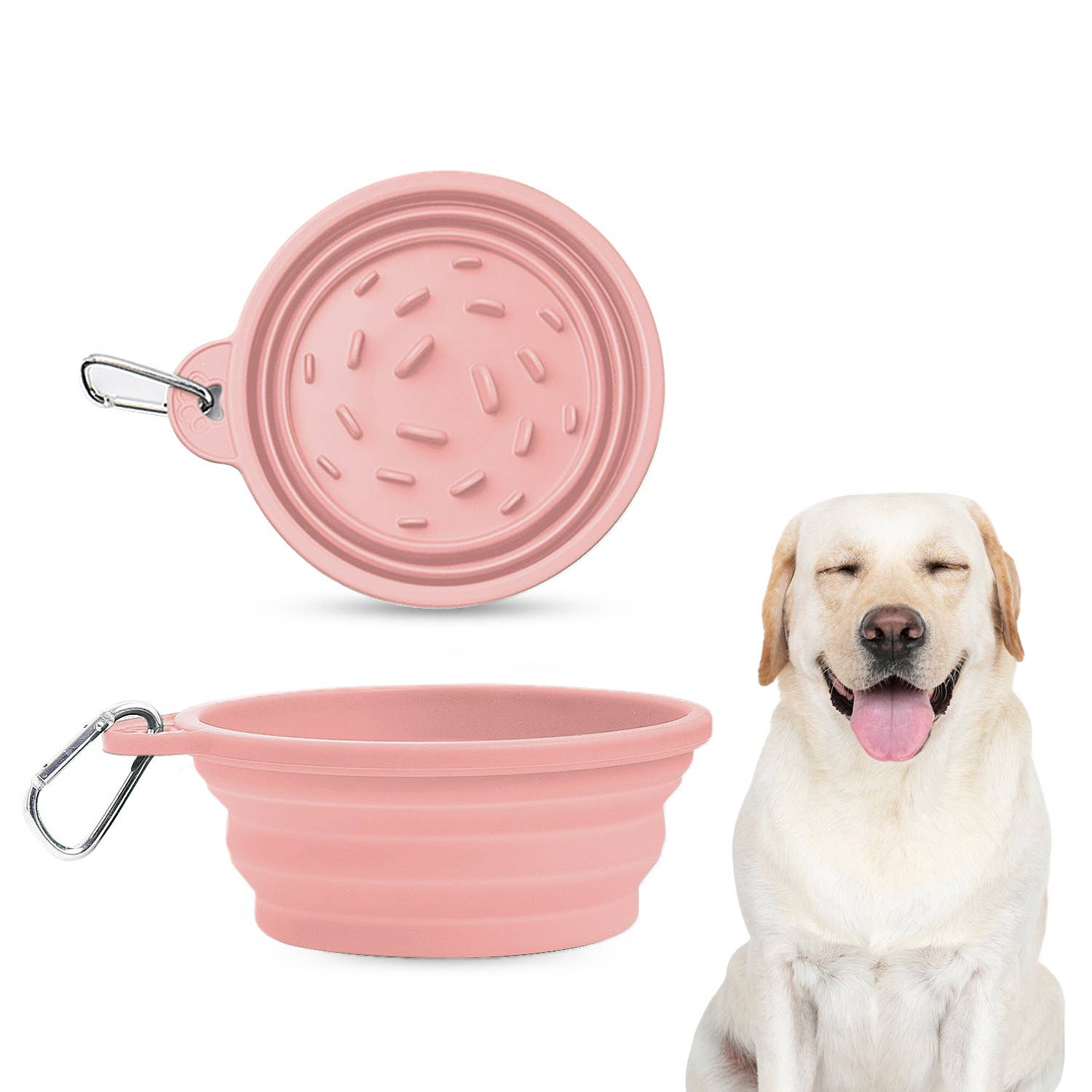 Travel Slow Feeder Dog Bowl with Non-Slip Suction Bottom