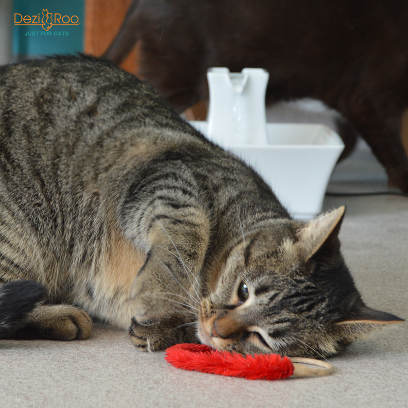 Cat Toy Wand Attachment Toy A-Lure-Ring Ring with tail