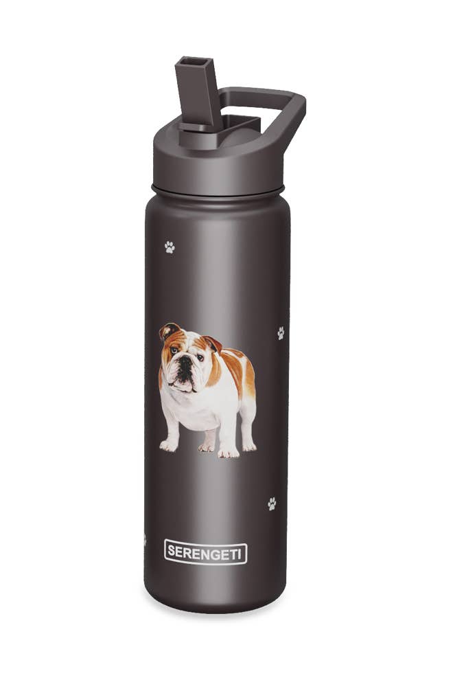 Bulldog Stainless Steel Water Bottle 24 Oz. Serengeti