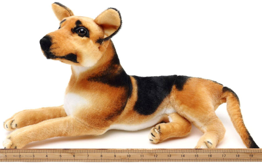 German Shepherd 
