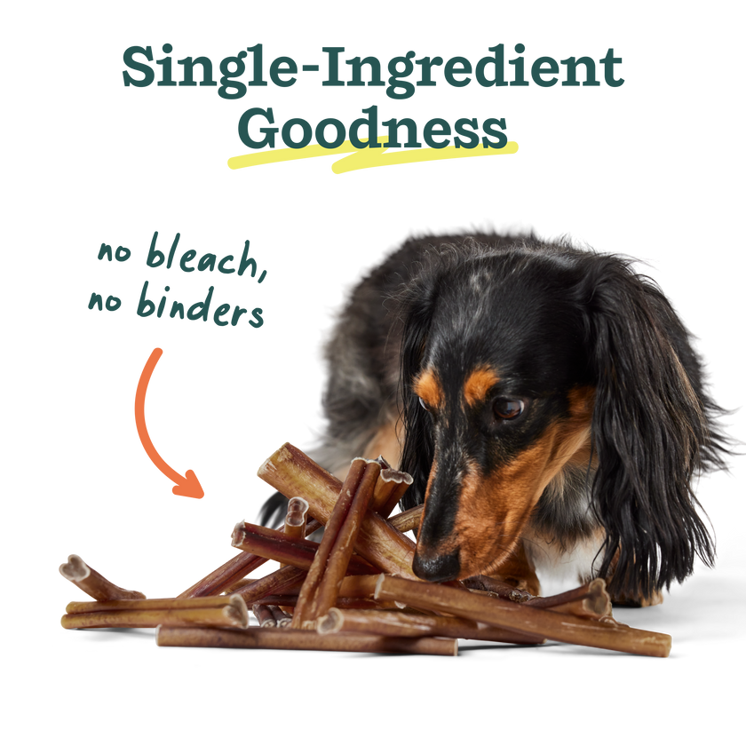 Dog Treat BullySafe Chews Pure Collagen Treat