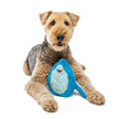 GURU Pet Company Hide-A-Tail Shark Interactive Plush Toy LG
