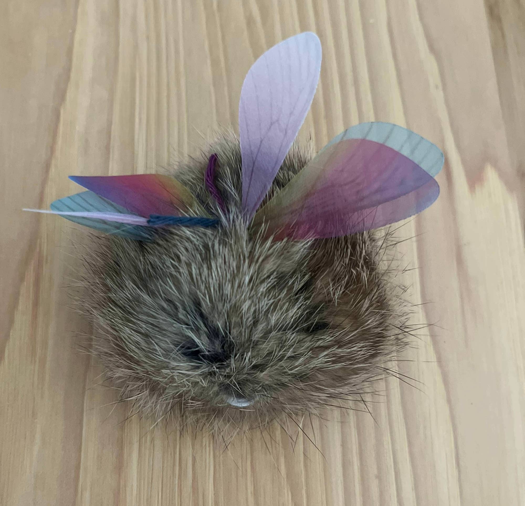 Cat Toy Fishing Fur-Bumble Lure Toy