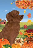 Goldendoodle, Chocolate Garden Flag (Fall)