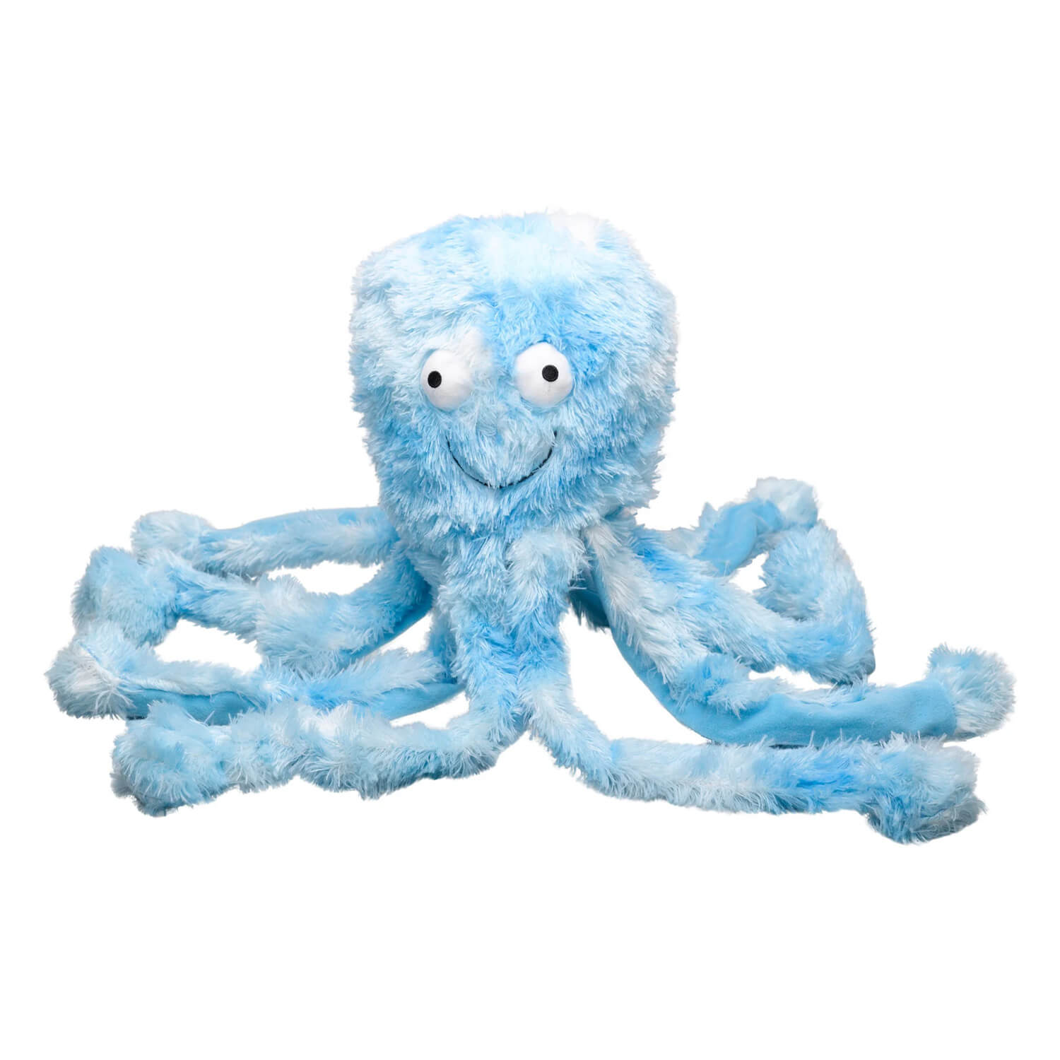 Blue Daddy Octopus - 25