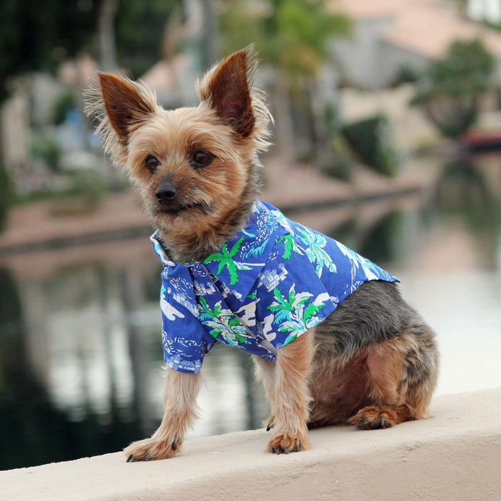 Pet Clothing Ocean Blue and Palms Hawaiian Camp Shirt