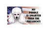 My Poodle Is Smarter Than the President - Car Magnet