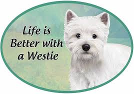 Westie - Life is Better Oval Magnet