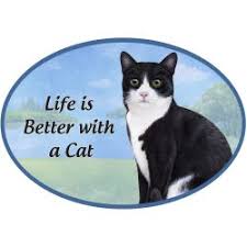 Black and White Cat - Life is Better Oval Magnet