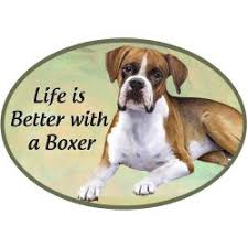 Boxer - Life is Better Oval Magnet