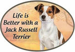 Jack Russell - Life is Better Oval Magnet