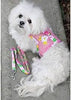 Cool Mesh Dog Harness & Lead - Pink Hibiscus