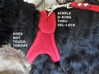 Choke Free Dog Harness Shoulder Collar- Black