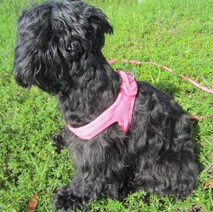 Choke Free Dog Harness Shoulder Collar- Pink