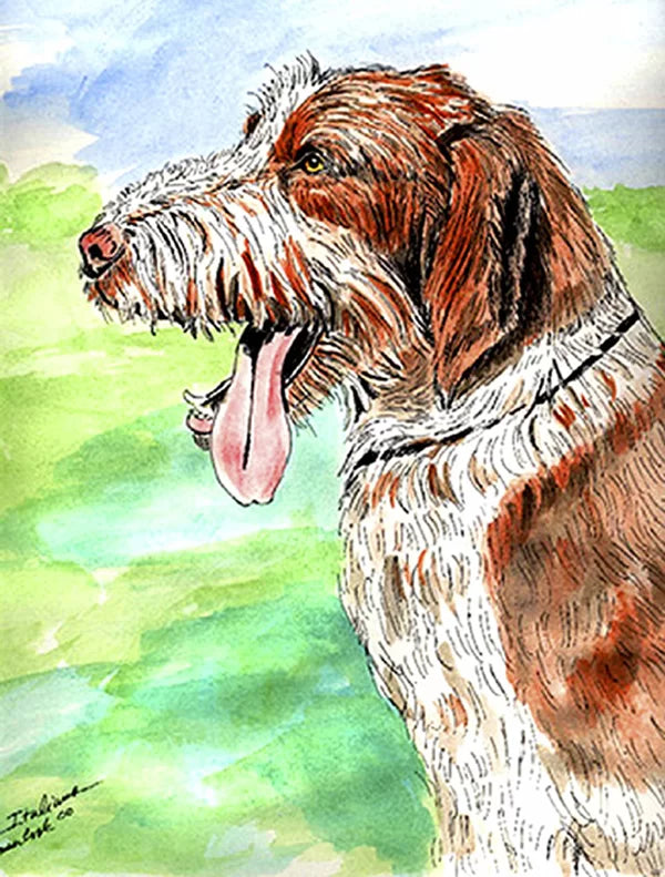 Italiano Spinone Garden Flag